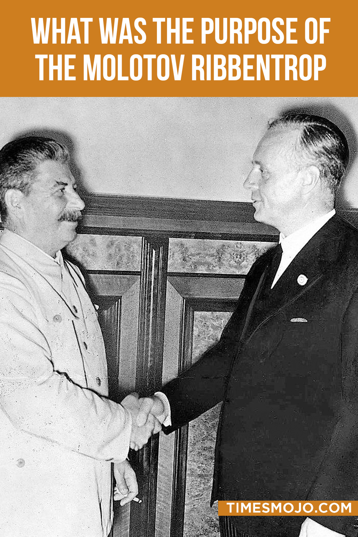 What Was The Purpose Of The Molotov Ribbentrop Pact